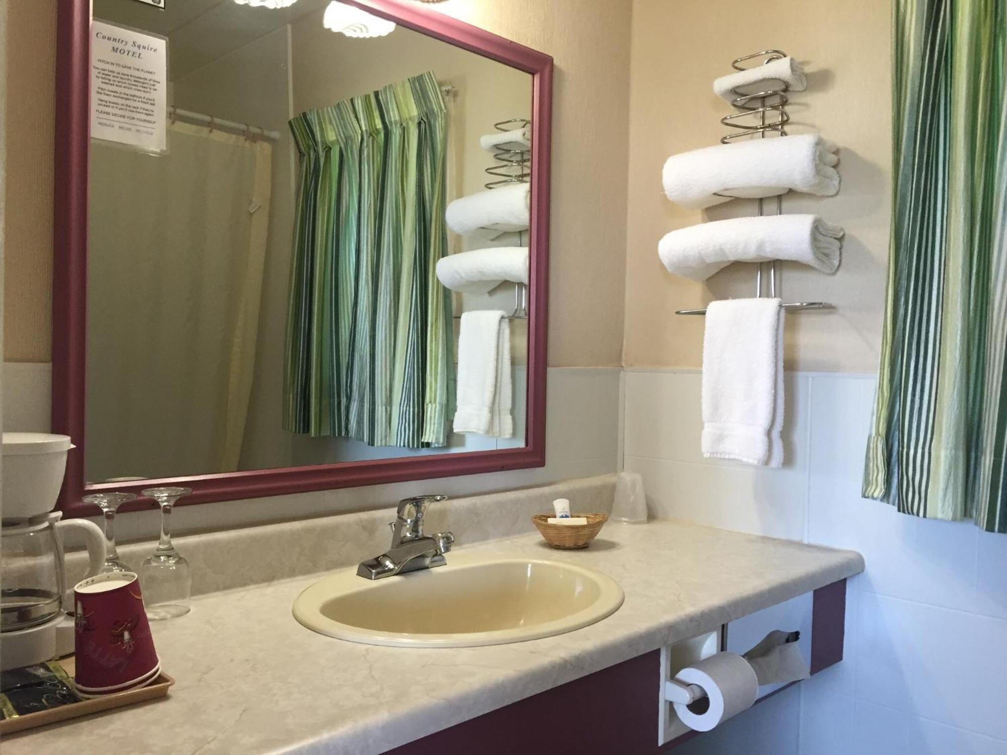 Country Squire Motel Arnprior Cameră foto
